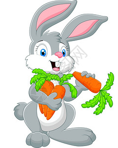 持有胡萝卜的卡通兔子背景图片
