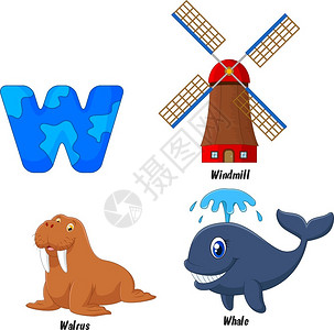 拟人字母海象鲸鱼插画