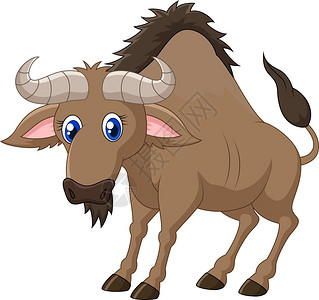 野生动物牛的插图高清图片