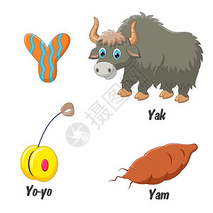 y字母表插图高清图片