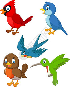 卡通可爱鸟群图片
