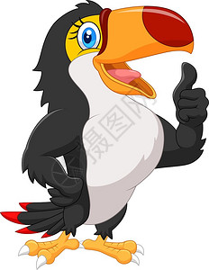 卡通toucan给予大拇指插图背景图片