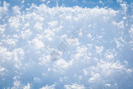 下雪后的宏观照片冬季背景图片