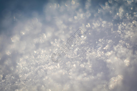 下雪后的宏观照片冬季背景图片