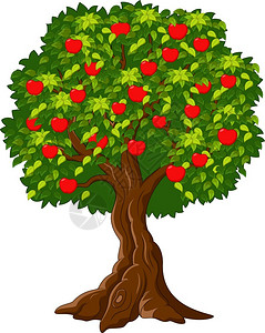脆甜红苹果苹果树上挂满了红苹果插画