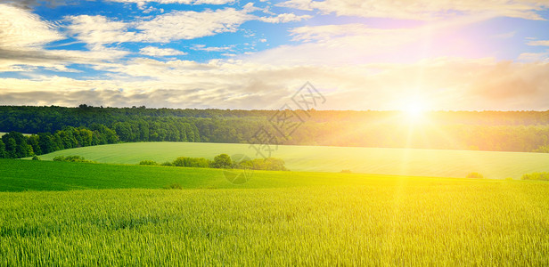 绿地太阳和蓝天空农业景观宽幅照片图片
