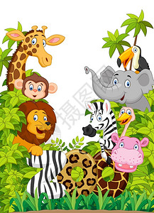 动物园的动物背景图片