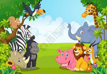 丛林中的动物背景图片