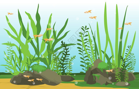 金鱼玩偶群美丽的水下世界珊瑚礁鱼群海草插画