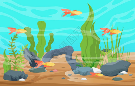 金鱼玩偶群美丽的水下世界珊瑚礁鱼群海带海星插画