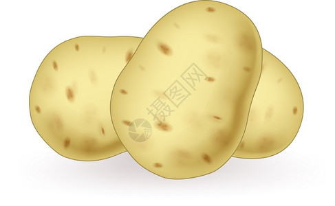 卡通马铃薯背景图片