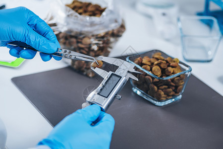 烧烤手套测量实验室中的干宠物食和烧烤卡利珀鱼肉背景