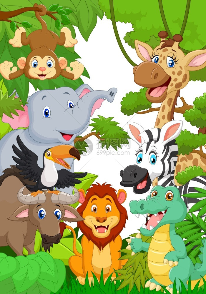 丛林中的动物图片