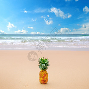 沙滩上的菠萝在黄海和蓝天空的背景下概念在热带度假图片