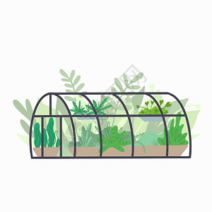 绿色植被图相框带有各种植物的家用半圆形温室带有花和草的玻璃橙色爱好和自然兴趣用于卡片贴纸和创造力的矢量平板图含有各种植物的家用半圆形温室含有花插画