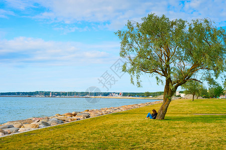 女人在海边公园的树下看书图片