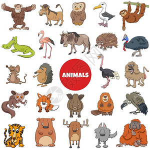 针鼹卡通可爱的动物插画
