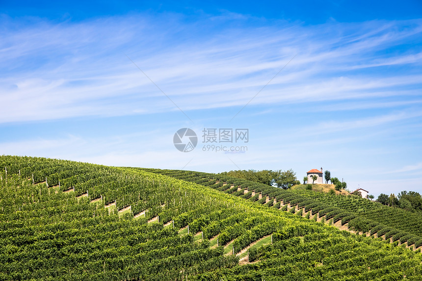 20年在蒙法拉托地区的伊塔利italy山峰夏季的风景乡村与葡萄园田美丽的蓝天背景图片