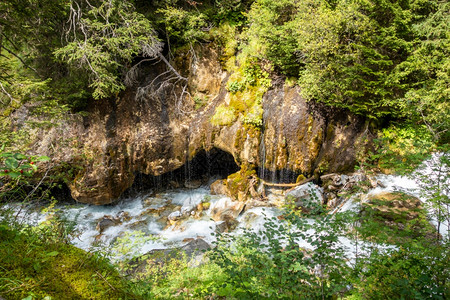 绿地公园萨沃伊法国阿尔卑斯家公园图片