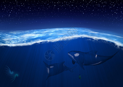 海洋动物虎鲸3D虎鲸变形的数字图解背景