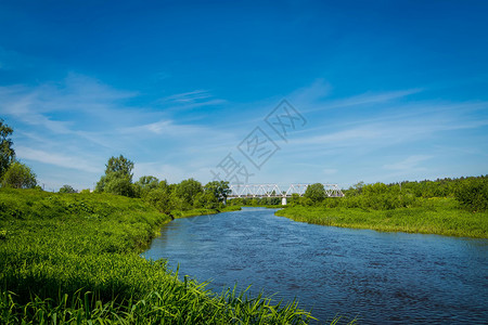 乡村的小河和夏天绿树图片