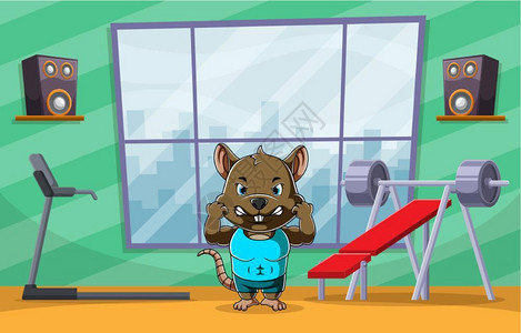 在健身房运动的肌肉老鼠图片