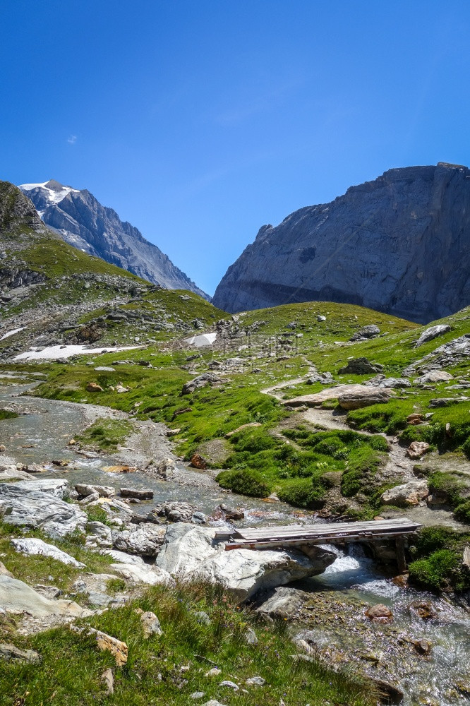 瓦诺伊斯公园阿尔卑斯山谷萨沃伊法国阿尔卑斯山法国阿尔卑斯山脉的河和木桥图片