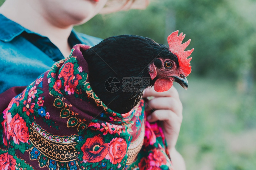 乡村风格微笑的女孩手里握着一只鸡图片