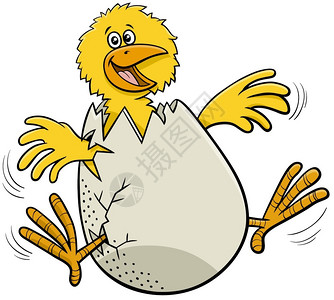 有趣的小鸡从蛋中孵化的漫画插图高清图片