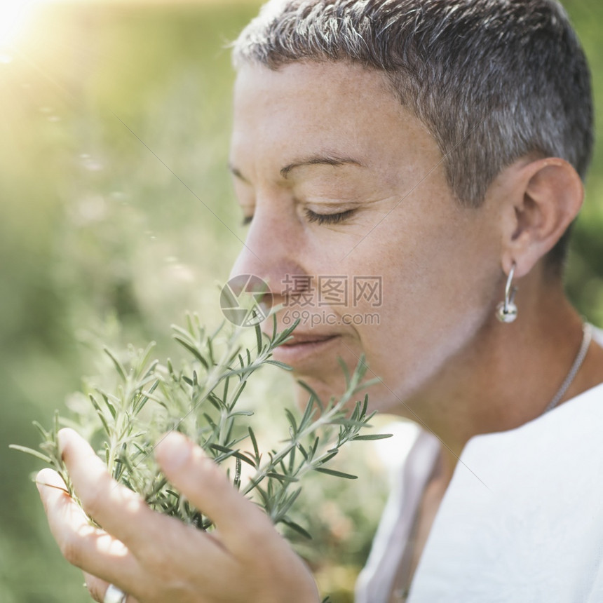 温柔地触摸迷迭香植物享受夏日的香味闭着眼睛图片