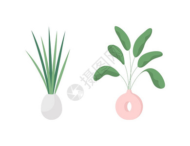 榕树设计素材室内植物插画