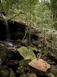 热带瀑布林一片石头覆盖绿苔图片