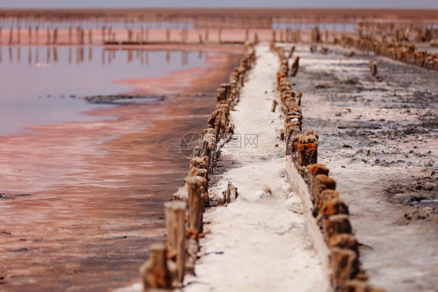 阳光明媚的日子里粉红盐湖木柱上有水晶库亚尔尼克里曼在乌拉茵德萨夏季复制空间图片