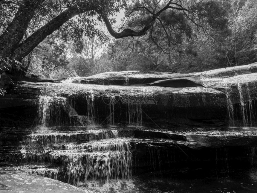美丽的瀑布流热带树木和石景观黑白的PhuKradeng公园的PhuKradeng瀑布图片