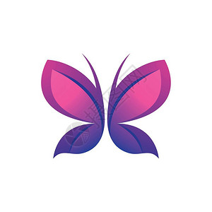 美蝴蝶徽标图像画设计图片
