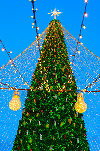 圣诞节和新年树在索菲亚广场Kyivukrane图片