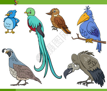小鹌鹑卡通可爱鸟类动物插画