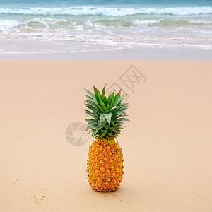 热带夏季的喜悦海滩上新鲜的菠萝图片