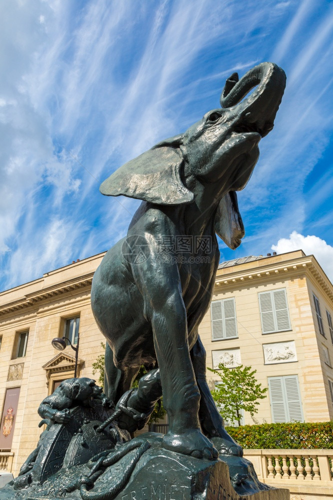 在法国巴黎的博物馆dorsay面前的大象雕像图片