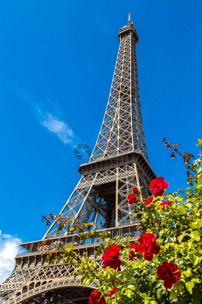 巴黎的艾菲尔塔美丽的夏日法兰西图片