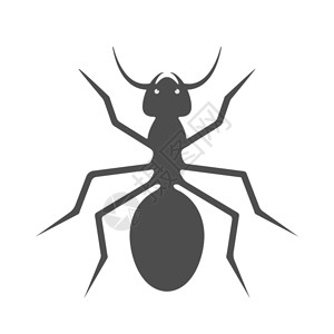 博物学家小昆虫主题设计和装饰的矢量说明平板风格插画