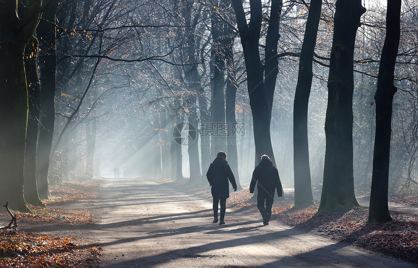 夫妇在荷兰的冬林中行走图片