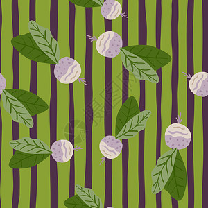 紫萝卜无缝模式白色萝卜绿色叶子紫绿色竖条纹背景插画