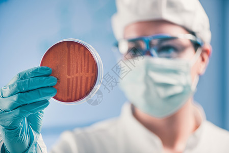 长款t血素材微生物学家检查花盘观察细菌长背景