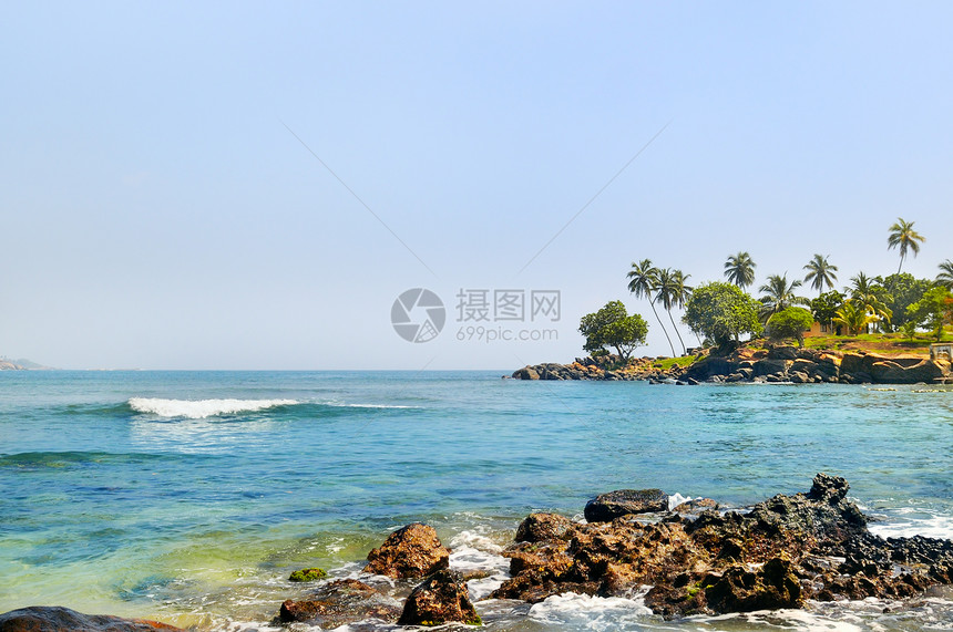 海洋表面和热带棕榈树在岸边的景象热带度假的浪漫时间概念图片