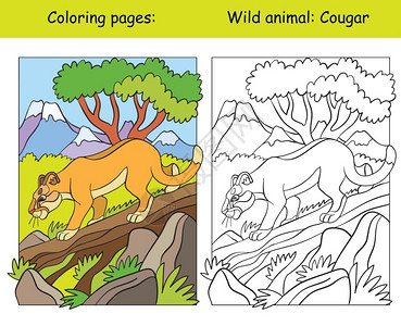 回头美洲狮在山区带行走美洲豹的矢量颜色页面卡通孤立的彩色插图用于彩色书籍设计学前教育印刷和游戏的彩色页面和模板书页和模板插画