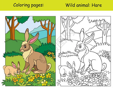 那兔年轻森林中带有可爱兔子的矢量彩色页面漫画孤立的多彩插图色书页和颜模板彩书本设计学龄前教育印刷和游戏的彩色页面和颜模板彩书页和颜模板兔插画