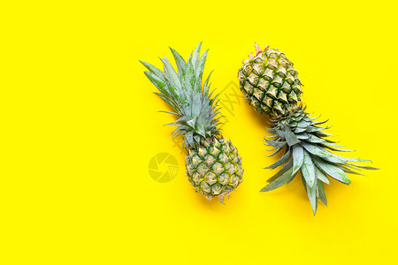 黄色背景的菠萝复制空间图片