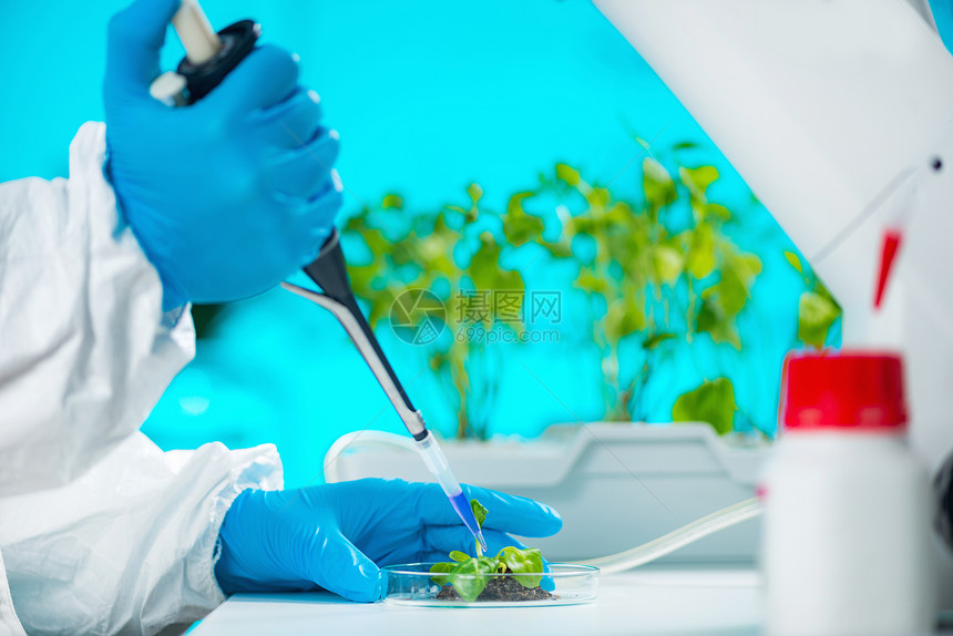 生物学家检查植根图片