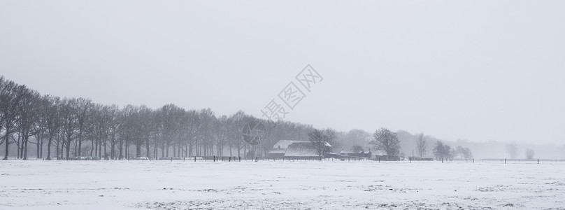 积雪覆盖的草原牧场图片